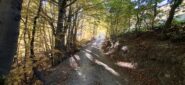 Luci e colori autunnali nell'avvicinamento