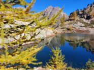 colori d'autunno
