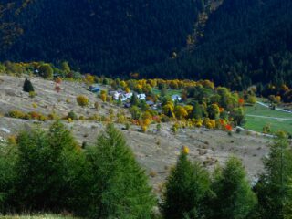 Viraggio all'autunno