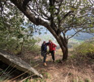 Uscita della via, con sosta su albero