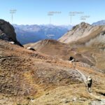  Mont Froid scendendo dal Signal du Petit Moncenis.