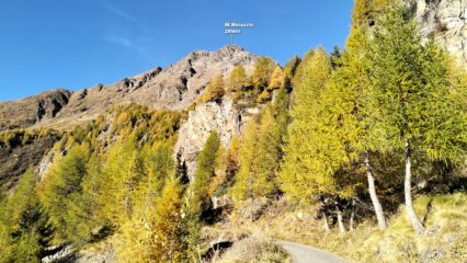  M.Masuccio visto alla partenza.