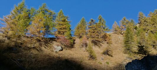 scorcio di autunno, salendo verso il rifugio Selleries