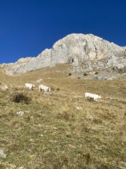 La via è a sinistra del camino