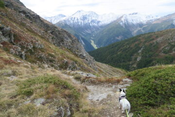 in discesa verso il vallone di Barasson