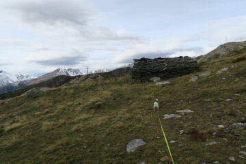 l'alpeggio di Paglietta