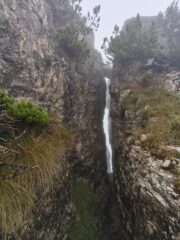 Scorcio di sentiero