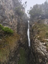 Scorcio di sentiero