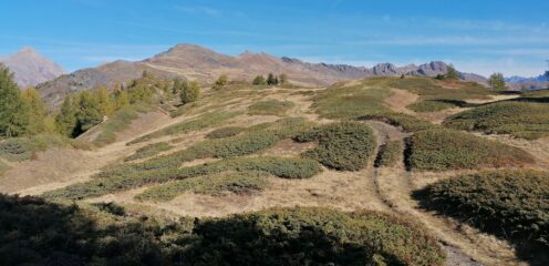 La meta in lontananza