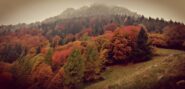 Colori autunnali
