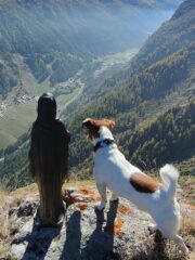 Becca di Cere'
