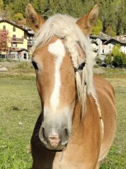 Una bella biondina alla partenza!