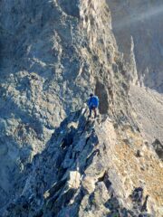 Crestina sotto Punta dei Camosci