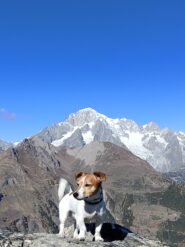 Oplus_131106
