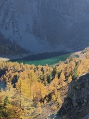 Oplus_131106