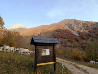 Partenza da Palanfre' con a dx il canalone che porta in cresta 