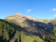 Monte Saccarello dal Passo di Collardente 
