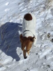 Il piccolo Joy distrutto, poverino 🥹