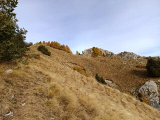 Verso Cima Caplet (m.1953)