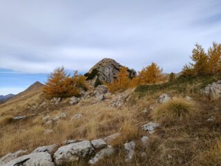 Cresta del Fera' 