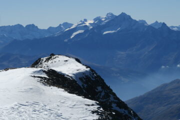 zoom su Gran Paradiso e Grivola dalla cima