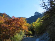 vista autunnale della Testa del Duca, salendo dal vallone degli Arbi
