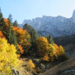 in discesa: foliage con sfondo Marguareis