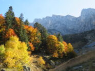 in discesa: foliage con sfondo Marguareis