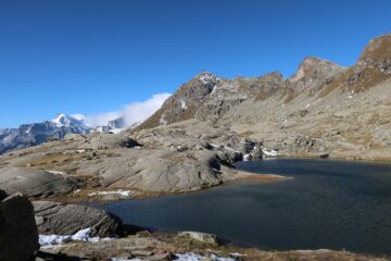 Vercellina, risaie a margine