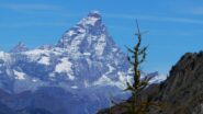L' Obergabelhorn fa l'occhiolino dietro al Cervino