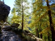 In discesa nella parte bassa del sentiero: l'autunno è iniziato.