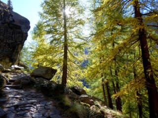 In discesa nella parte bassa del sentiero: l'autunno è iniziato.