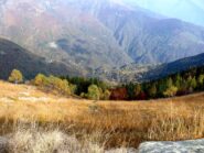 I colori dell'autunno.