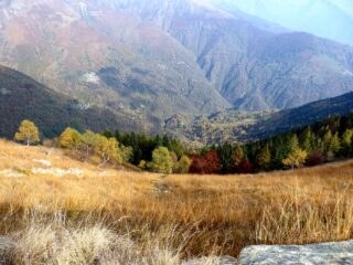 I colori dell'autunno.