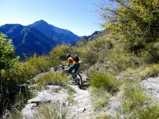 Sul tratto tra S. Martino ed il bivio x i Vignali