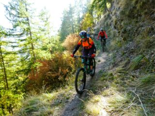 Sul traverso alto nel bosco