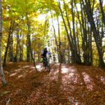 Tra i colori della faggeta finale