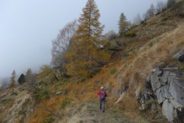 L'autunno avanza