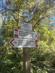Prima vetta Monte Rocchette un po' deludente (immersa nel bosco)