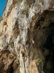 La via vista dalle calate su Orto Botanico