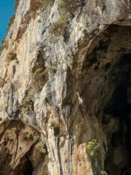 La via vista dalle calate su Orto Botanico