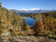 Colori dell'autunno, passando dal Lago Bianco.