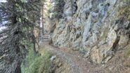 bel sentiero verso il Rifugio Mollino