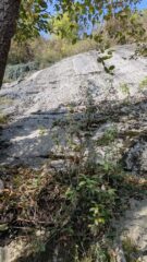 L'ultima bellissima placca, vista dalla sosta su alberi