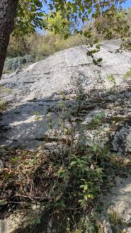 L'ultima bellissima placca, vista dalla sosta su alberi