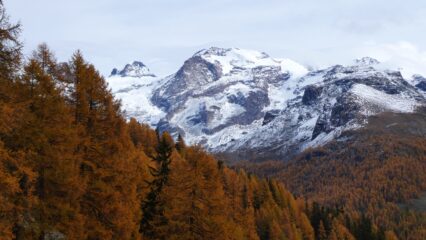 Polluce, Castore e Cima di Iazzi