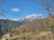 pizzo di albiona