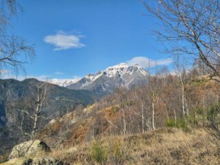 pizzo di albiona