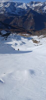 Polverella novembrina...