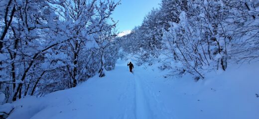 Ambiente invernale